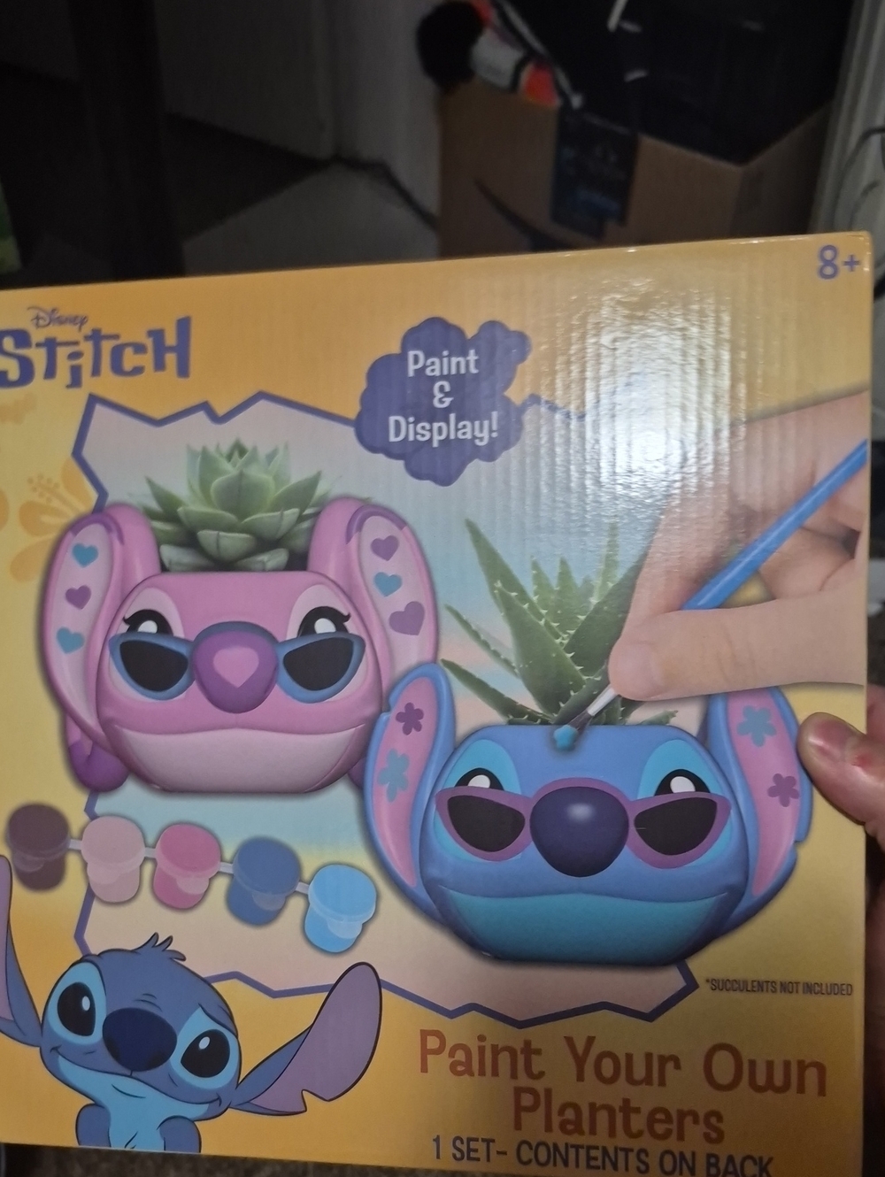 Paint Your Own Planters - Blue & Pink